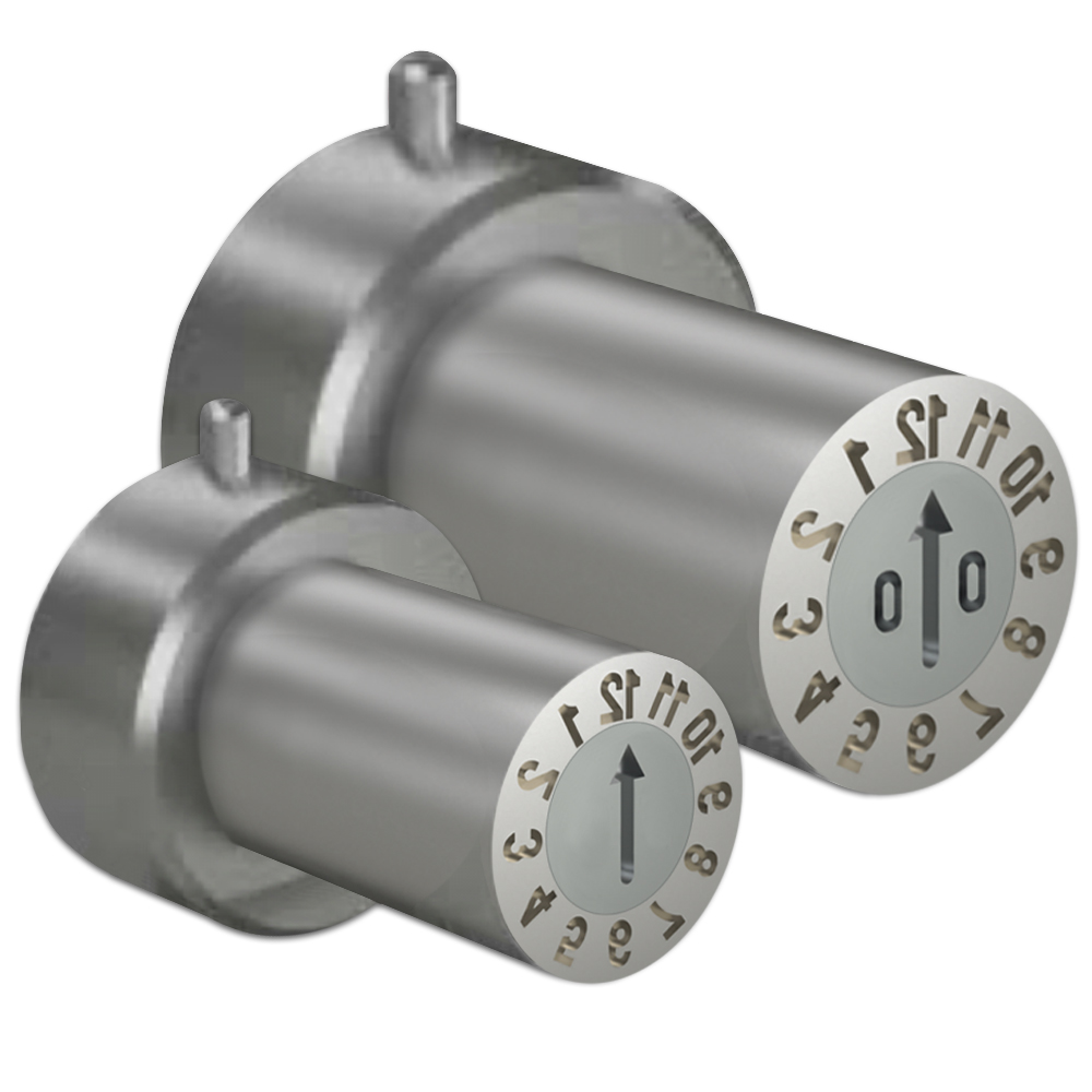 D21900<BR>Med L�sfunktion<BR>Bakre Skalle<BR>Indexerbar